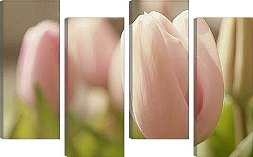 Модульная картина - тюльпаны