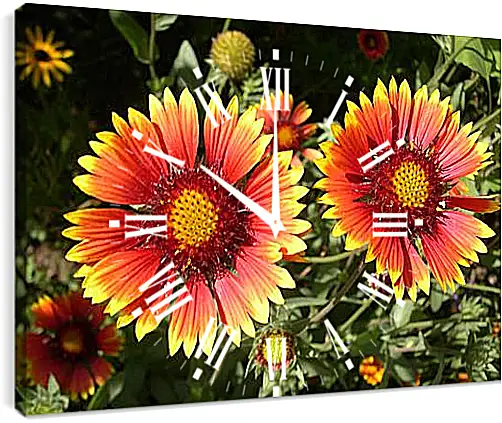 Часы картина - Gardenscapes - Дивный сад
