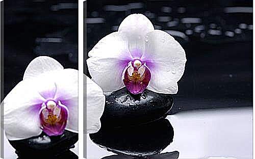 Модульная картина - orhidei - орхидея
