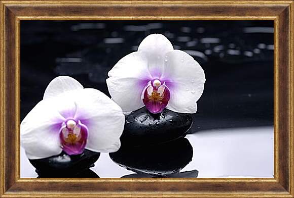 Картина в раме - orhidei - орхидея
