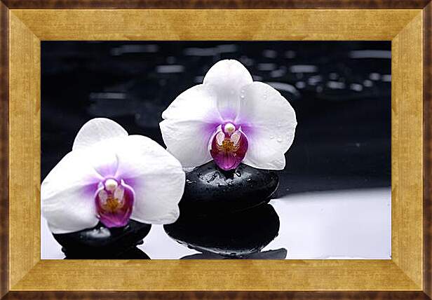Картина в раме - orhidei - орхидея
