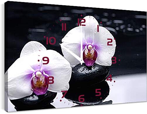 Часы картина - orhidei - орхидея
