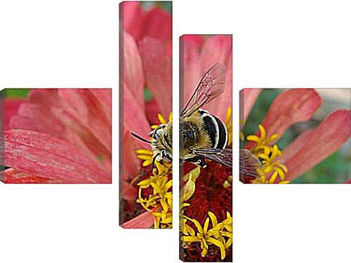 Модульная картина - bee - Пчела
