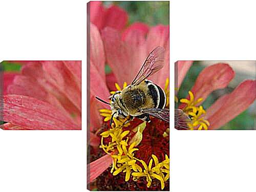 Модульная картина - bee - Пчела
