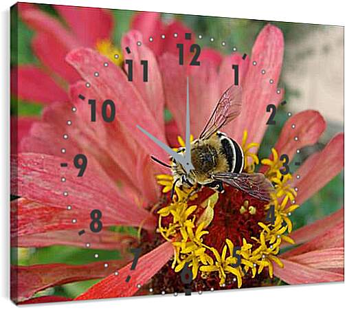 Часы картина - bee - Пчела
