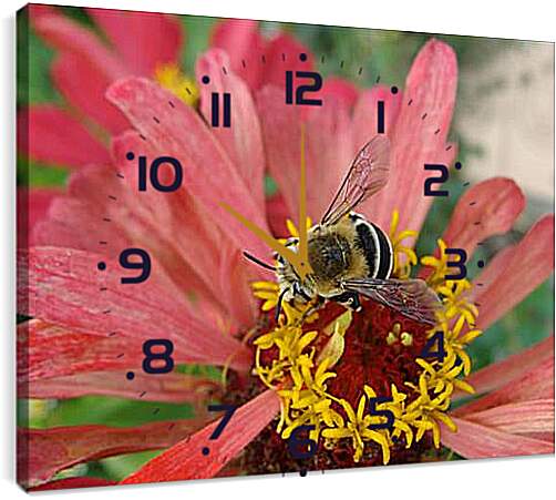 Часы картина - bee - Пчела
