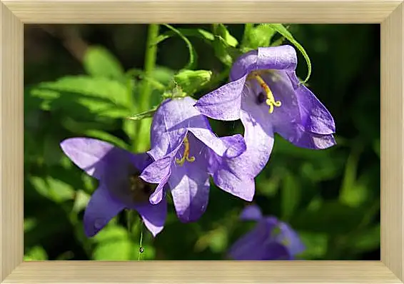 Картина в раме - bell flower - Колокольчик
