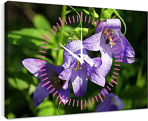 Часы картина - bell flower - Колокольчик

