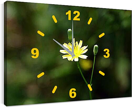 Часы картина - flos -oris - Цветок
