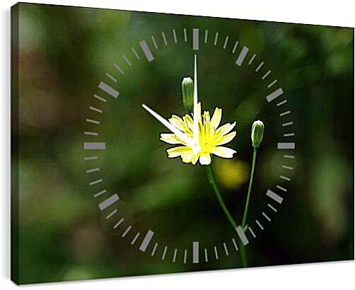 Часы картина - flos -oris - Цветок
