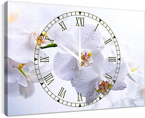 Часы картина - Orchid - Орхидея
