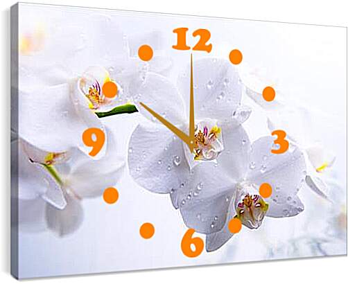 Часы картина - Orchid - Орхидея
