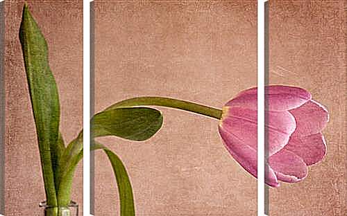 Модульная картина - tulip - тюльпан
