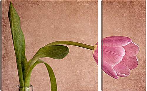 Модульная картина - tulip - тюльпан
