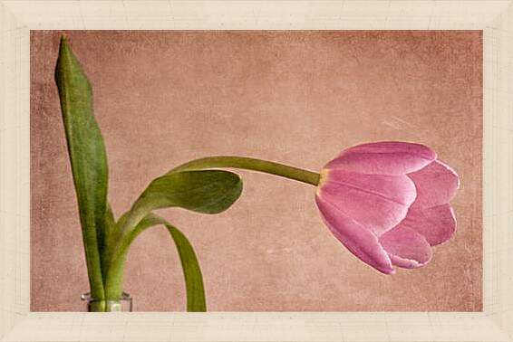 Картина в раме - tulip - тюльпан
