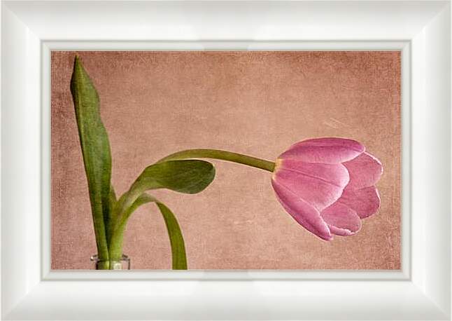 Картина в раме - tulip - тюльпан
