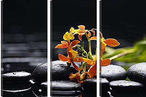 Модульная картина - цветы в воде
