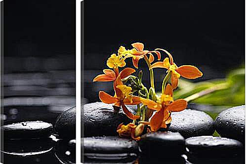 Модульная картина - цветы в воде
