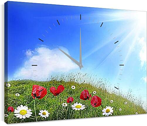 Часы картина - ромашковое поле
