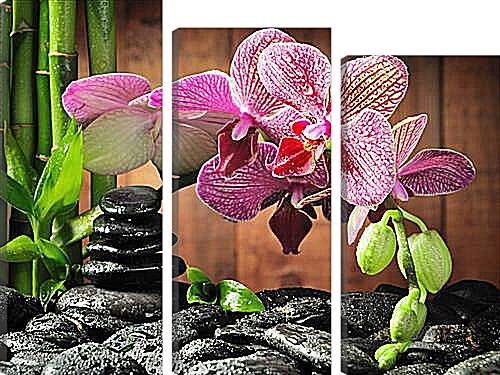 Модульная картина - орхидея
