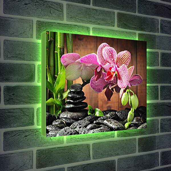 Лайтбокс световая панель - орхидея
