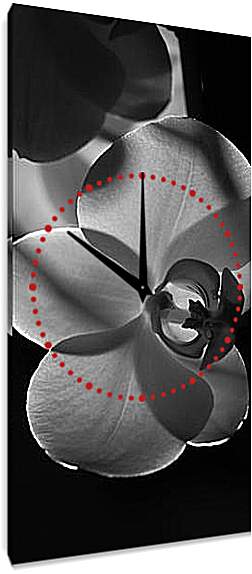 Часы картина - Орхидеи