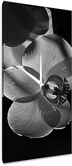 Часы картина - Орхидеи
