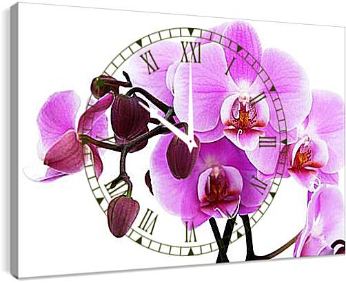 Часы картина - орхидея
