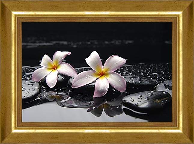 Картина в раме - Flowers - Цветы на черных камнях
