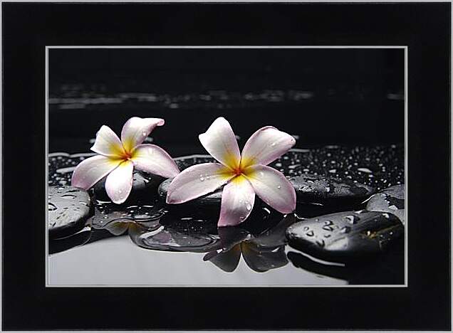 Картина в раме - Flowers - Цветы на черных камнях
