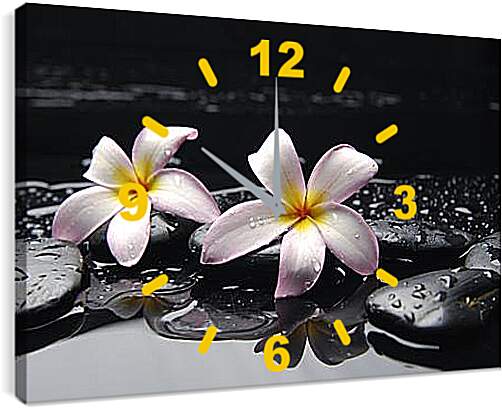 Часы картина - Flowers - Цветы на черных камнях

