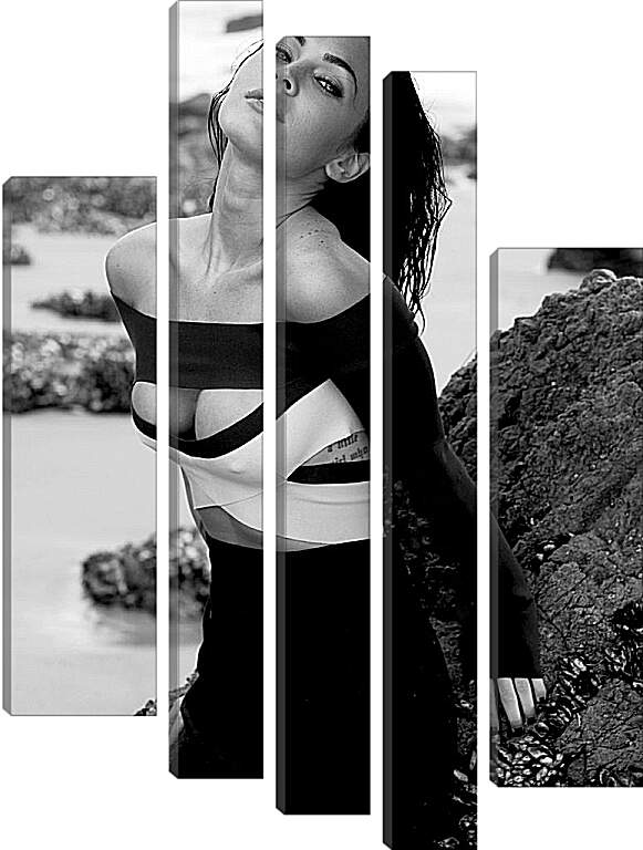 Модульная картина - Меган Фокс (Megan Fox)