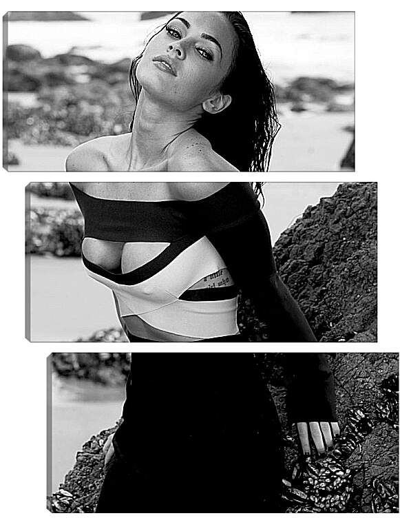 Модульная картина - Меган Фокс (Megan Fox)