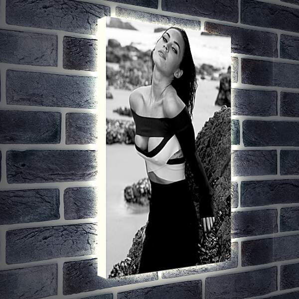 Лайтбокс световая панель - Меган Фокс (Megan Fox)