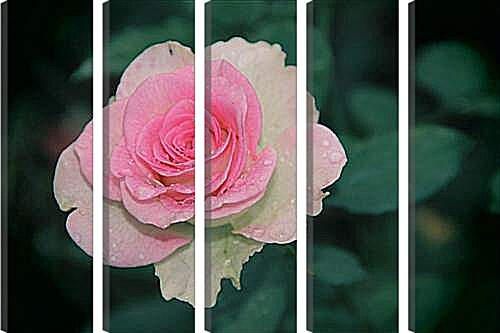 Модульная картина - Roza - Роза
