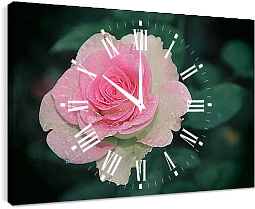 Часы картина - Roza - Роза
