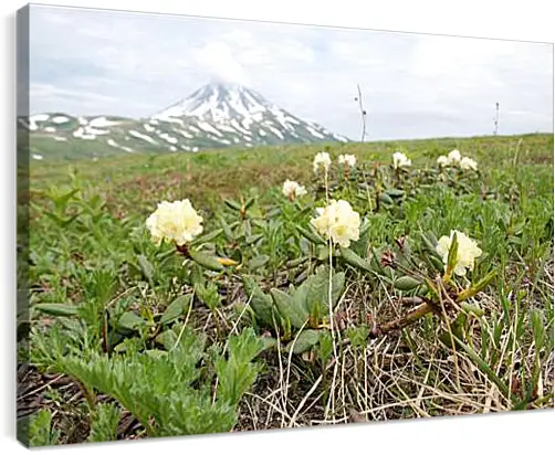 Постер и плакат - Rhodod&#233