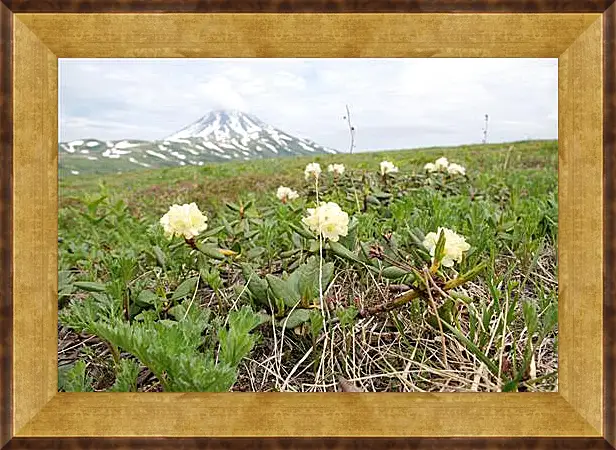 Картина в раме - Rhodod&#233