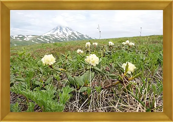 Картина в раме - Rhodod&#233