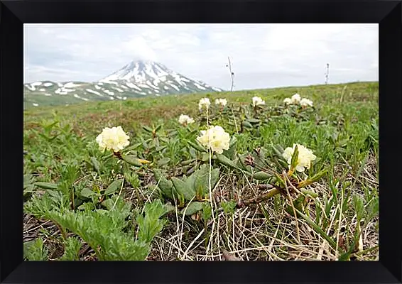 Картина в раме - Rhodod&#233