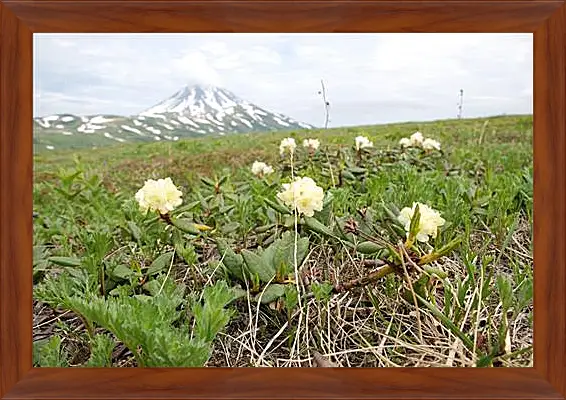 Картина в раме - Rhodod&#233