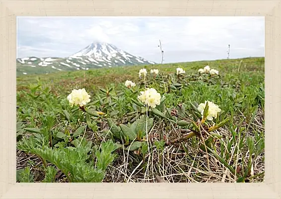 Картина в раме - Rhodod&#233