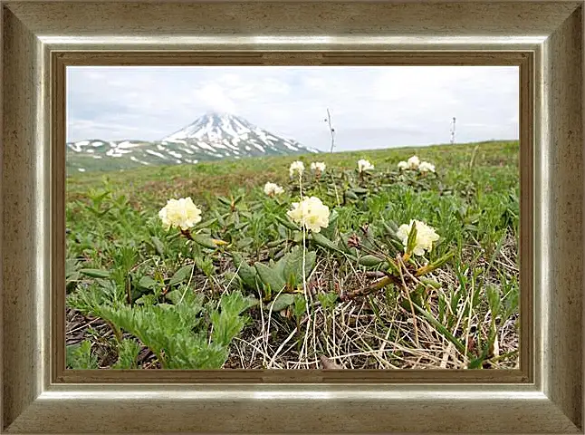 Картина в раме - Rhodod&#233