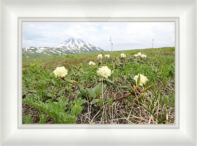 Картина в раме - Rhodod&#233