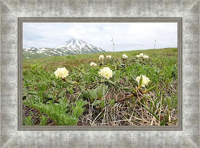 Картина в раме - Rhodod&#233