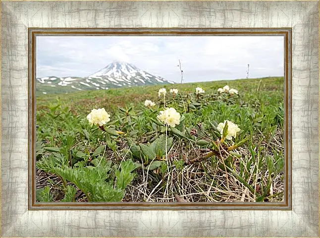 Картина в раме - Rhodod&#233