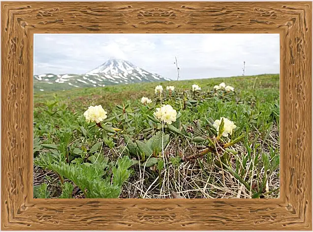 Картина в раме - Rhodod&#233