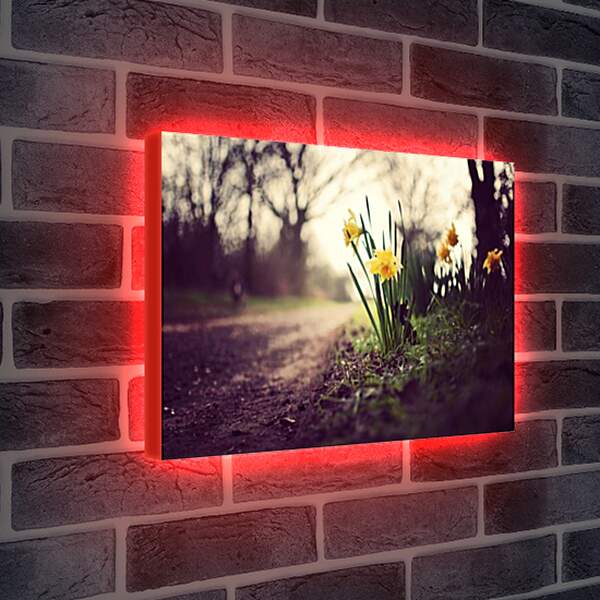 Лайтбокс световая панель - цветы у дороги
