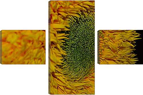Модульная картина - flower1 - Подсолнух
