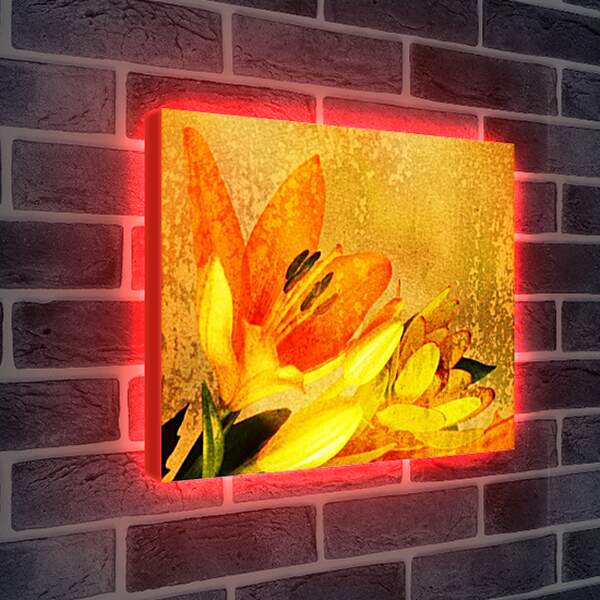 Лайтбокс световая панель - flowers
